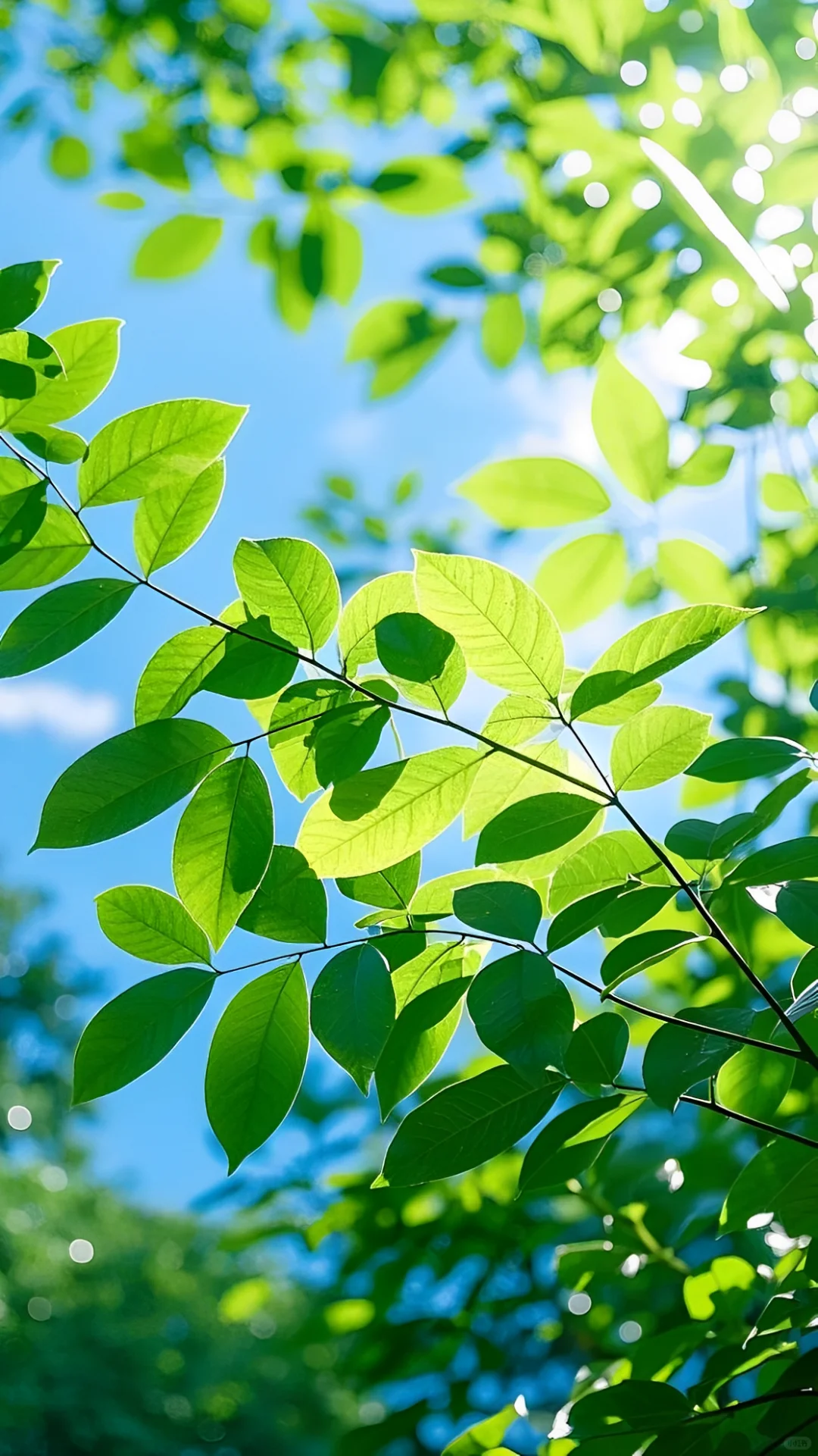 长时间对着电脑眼睛干涩？快来换上这组壁纸