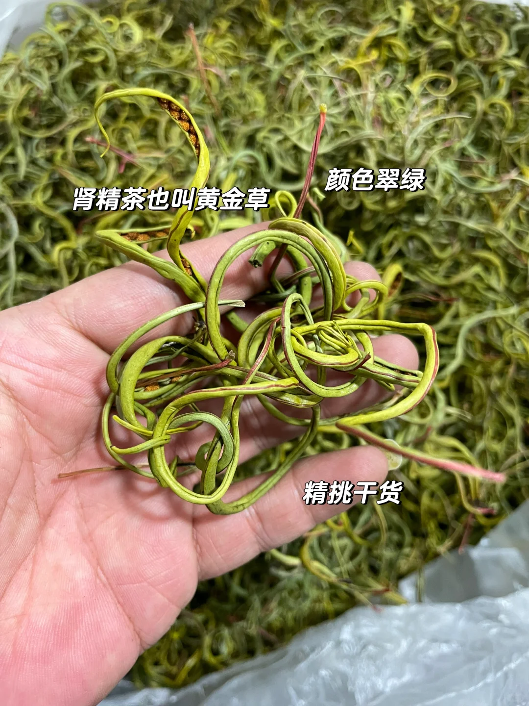 火出圈的天然小草，肾精茶，买给你的男盆友