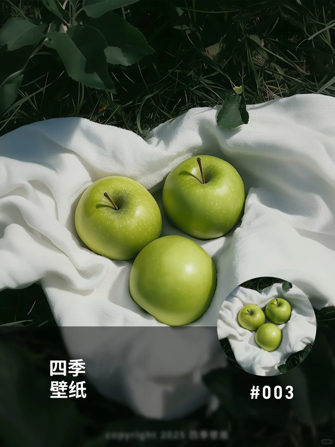 恋爱像是一颗青苹果ins壁纸#003