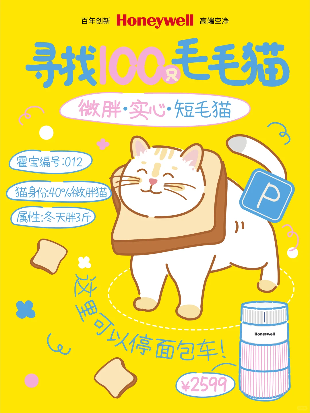 寻找100只毛毛猫（012/100）–短毛微胖猫?