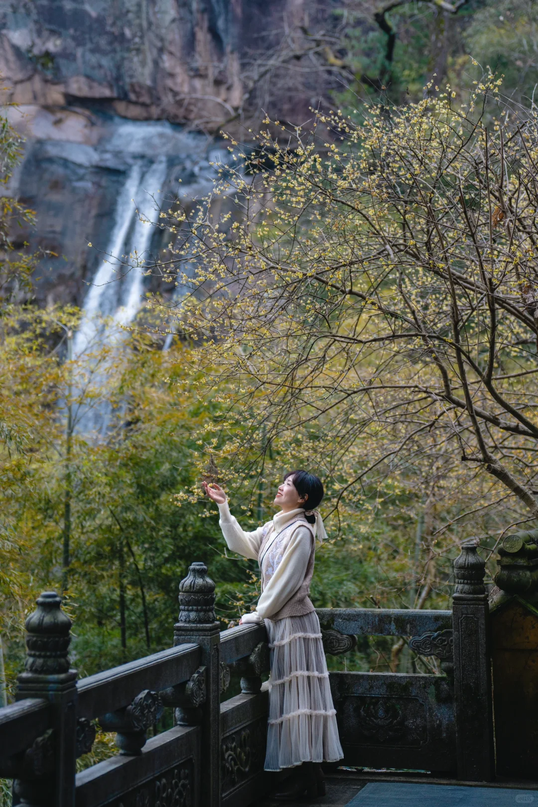 天台梅花不止国清寺 石梁古方广寺刚开始