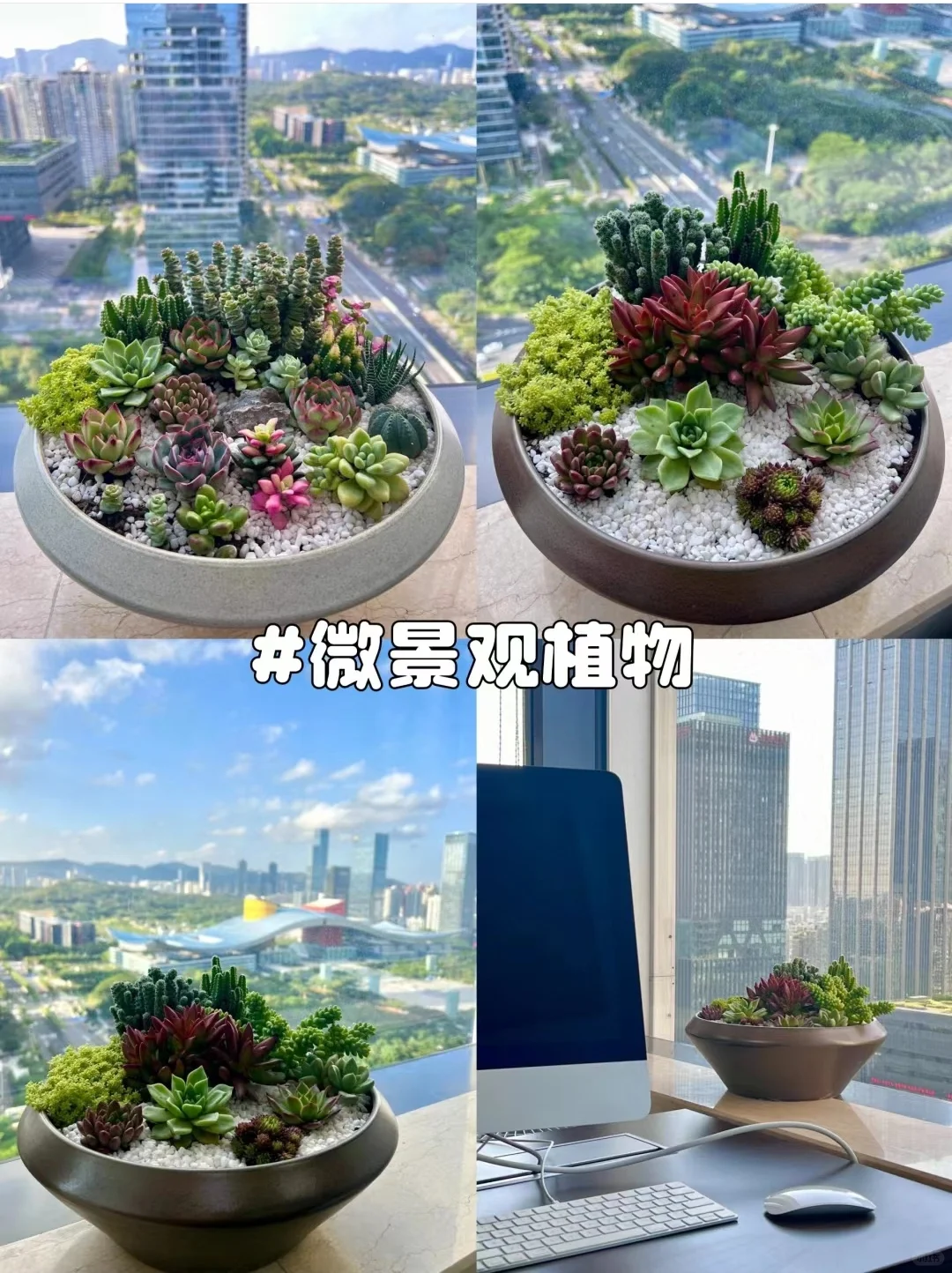 三八女神节活动推荐｜创意活动沙龙手工DIY