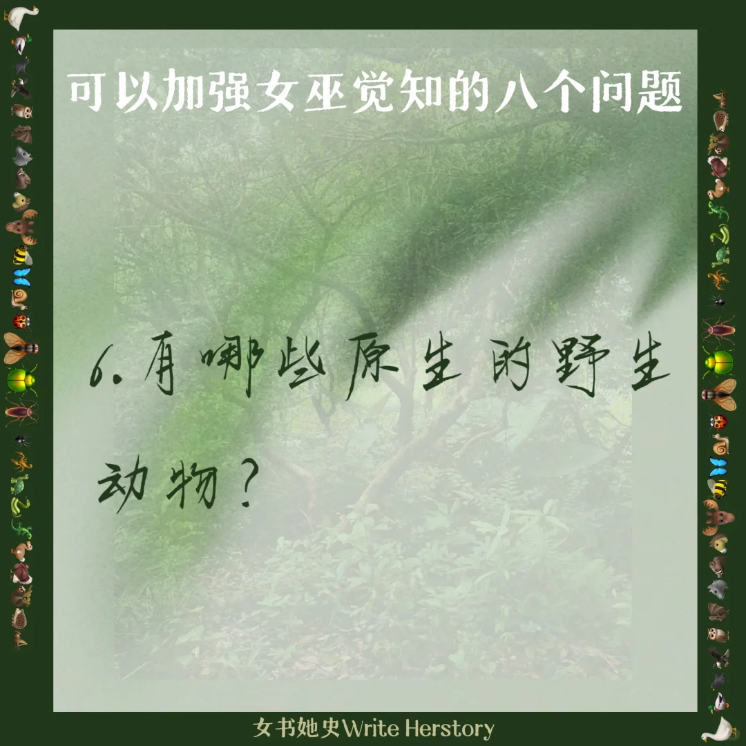 惊蛰至，成都的绿女巫们醒醒?女书海娜体验