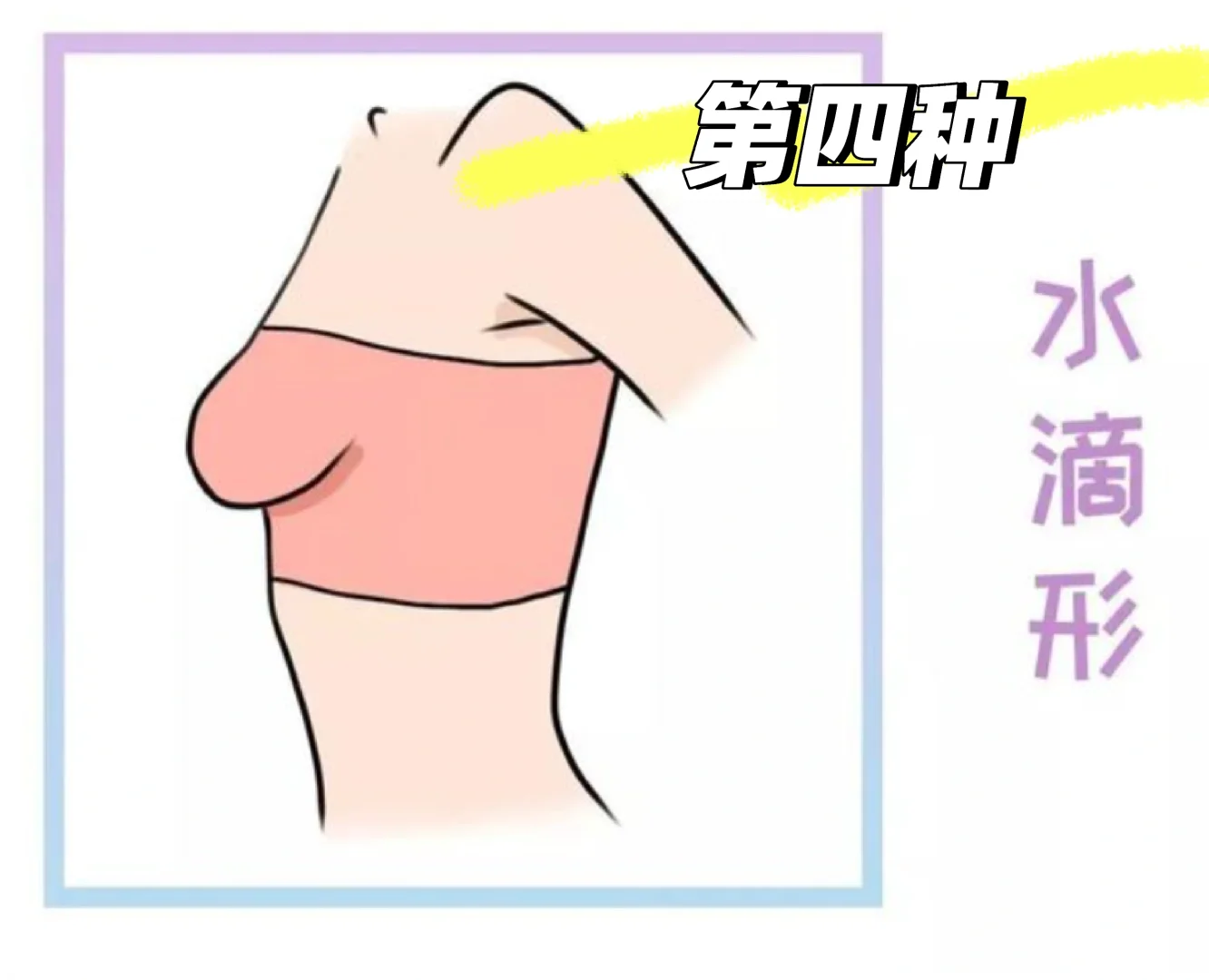 女生的?分为几种类型呢？