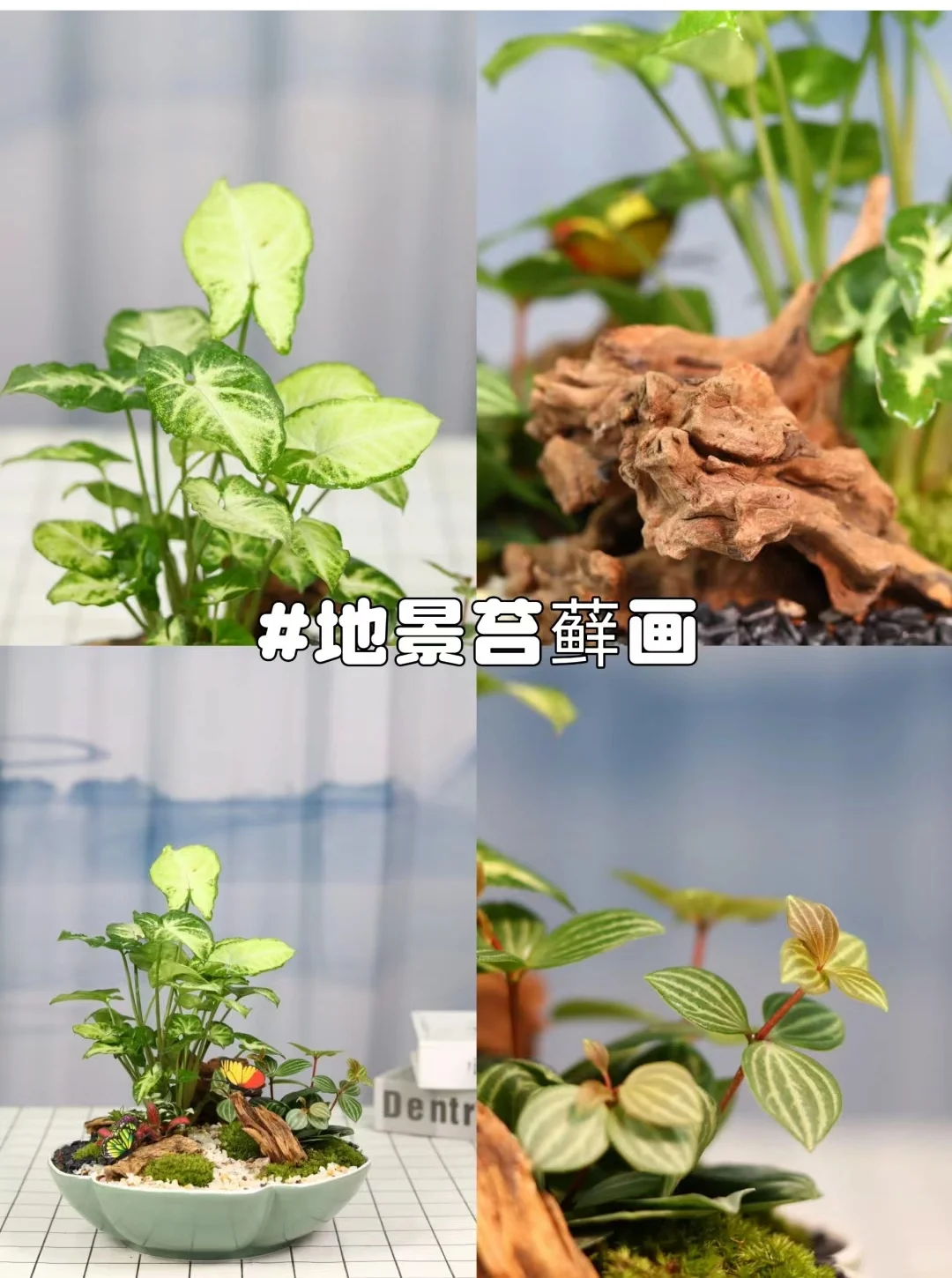 三八女神节活动推荐｜创意活动沙龙手工DIY