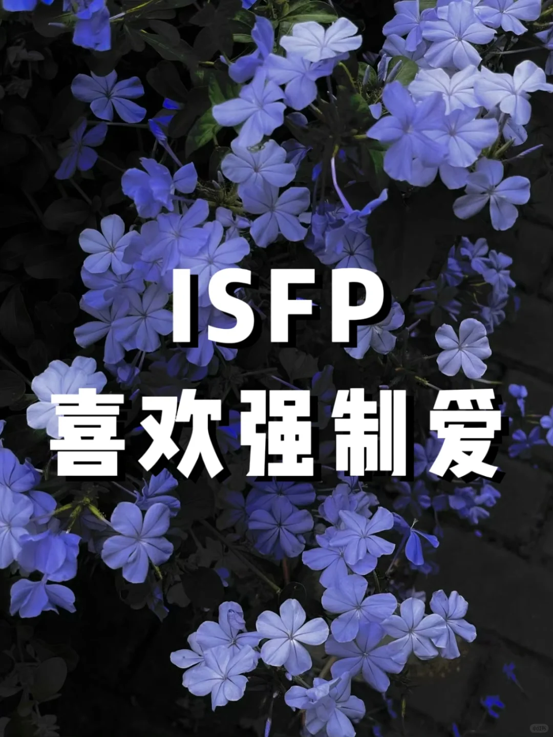 ISFP喜欢强制爱