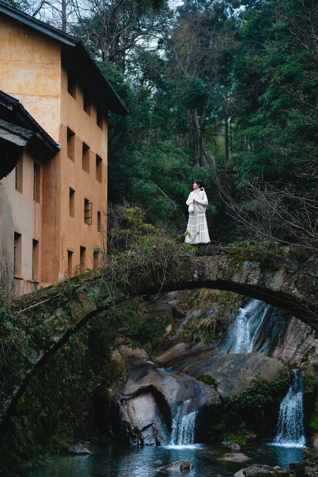 天台梅花不止国清寺 石梁古方广寺刚开始