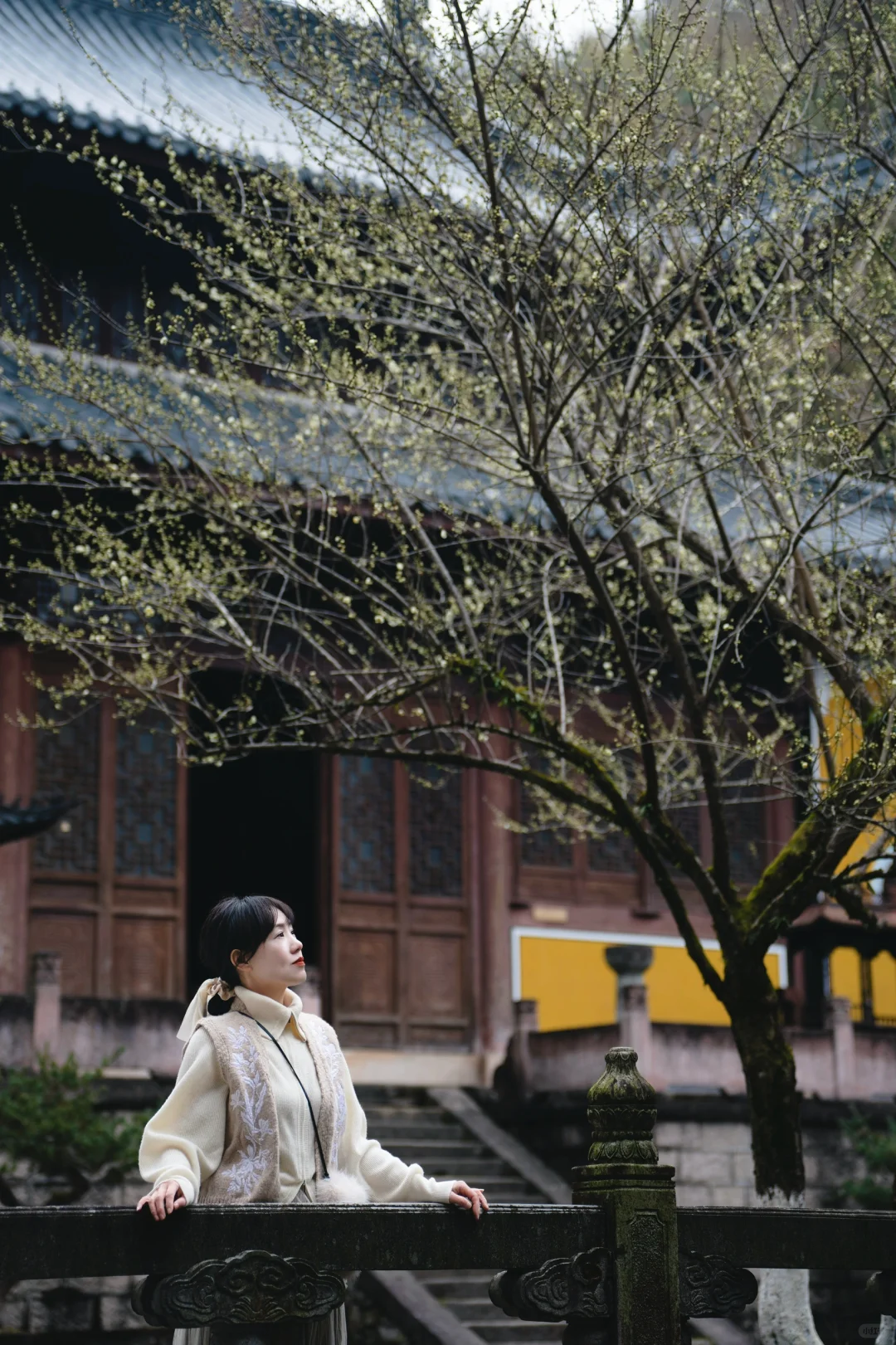 天台梅花不止国清寺 石梁古方广寺刚开始