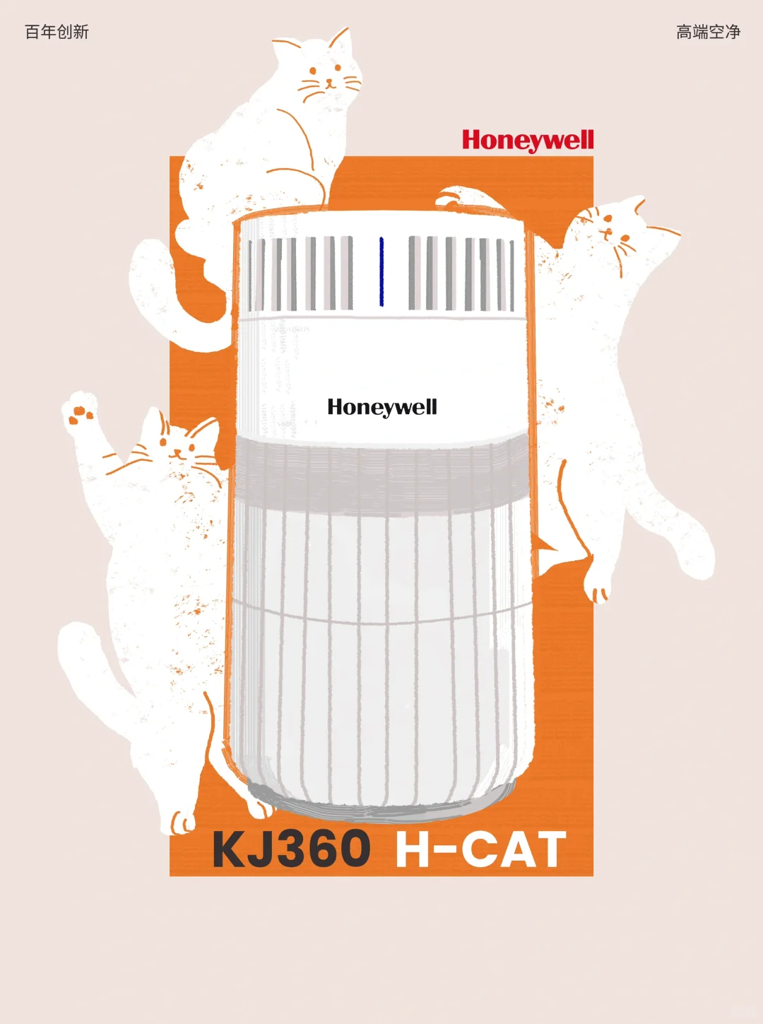 寻找100只毛毛猫（012/100）–短毛微胖猫🐈