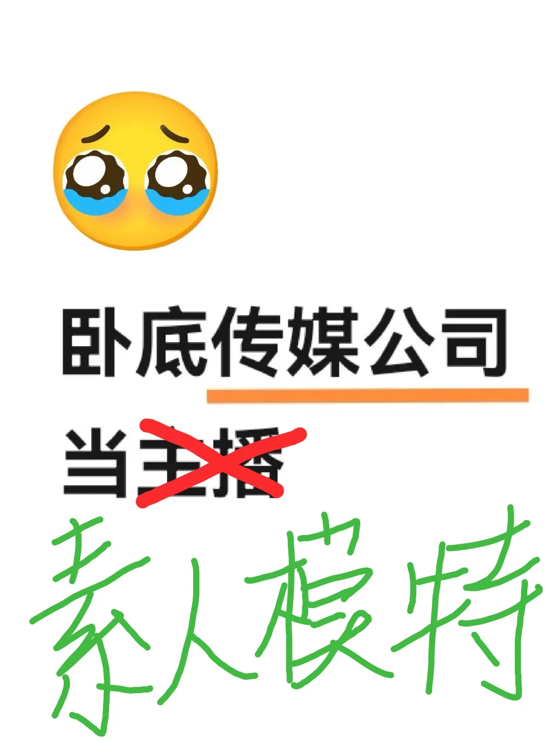 卧底系列二（素人模特 2️⃣）