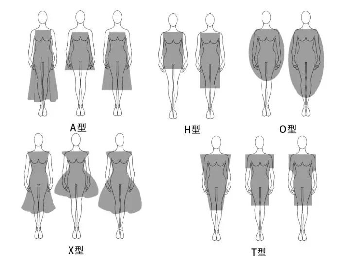 今天给大家分享五大体型！