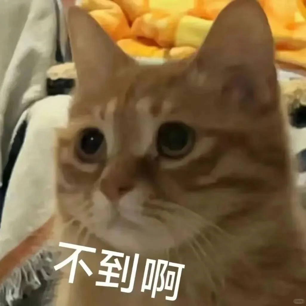 好不好嘛｜猫猫表情包