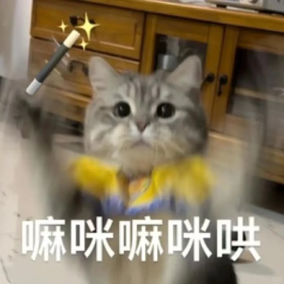 好不好嘛｜猫猫表情包