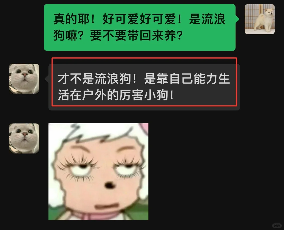 谈了个语言系统很可爱的女朋友是什么体验