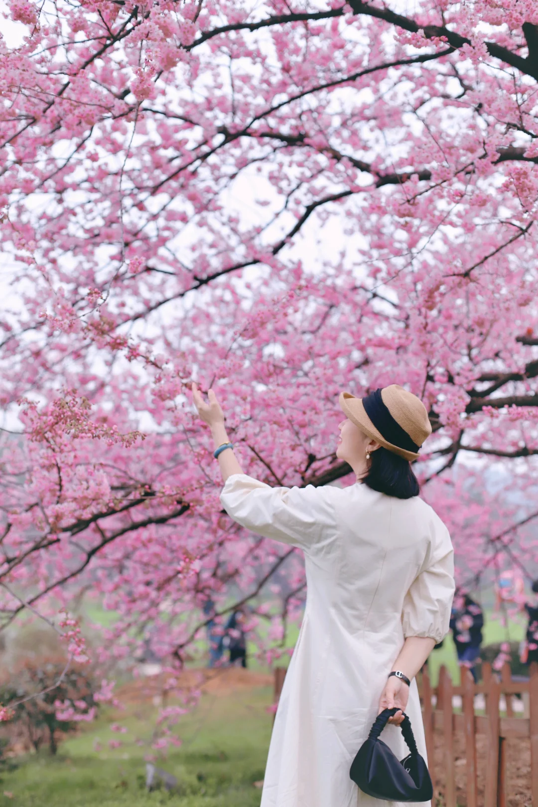 眼光澄澈 笑颜如花 如星璀璨 如风自由