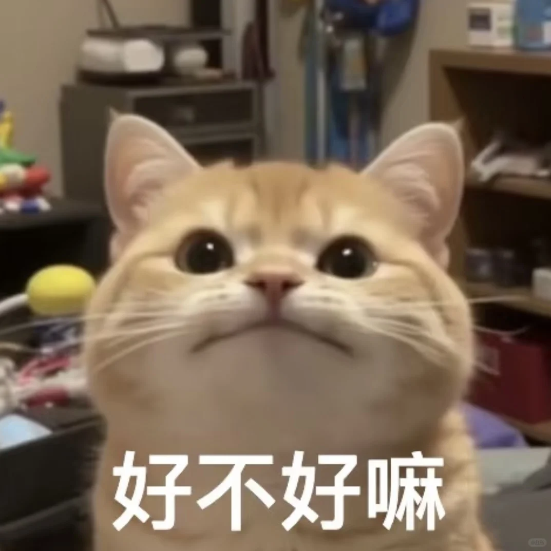 好不好嘛｜猫猫表情包