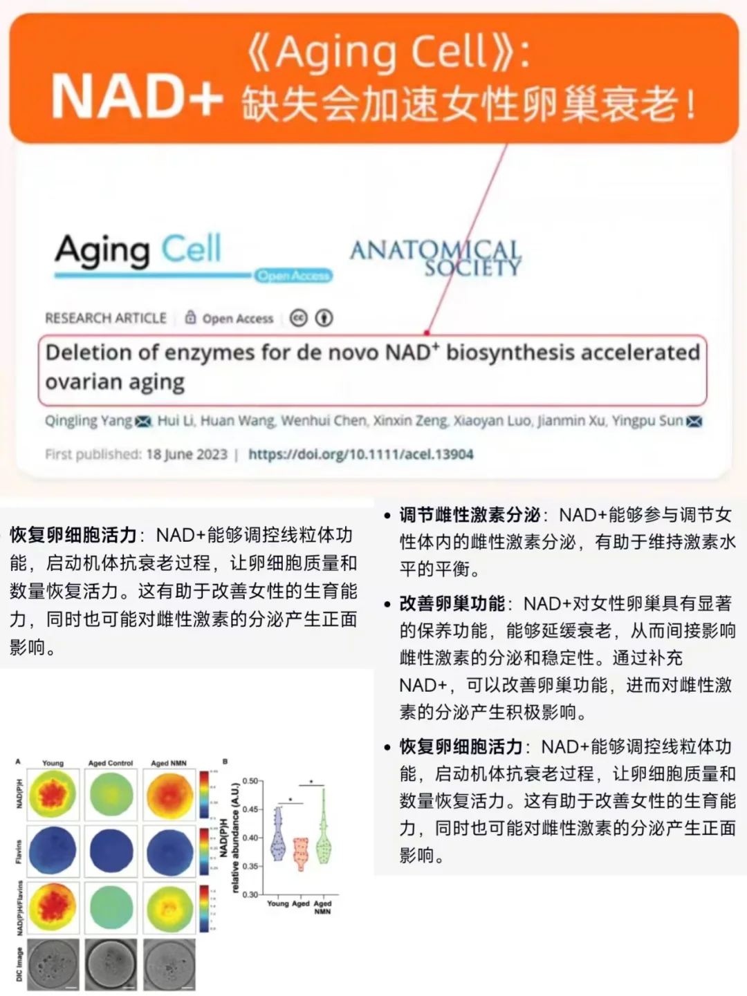 讲真的!漂亮感的关键其实是补雌