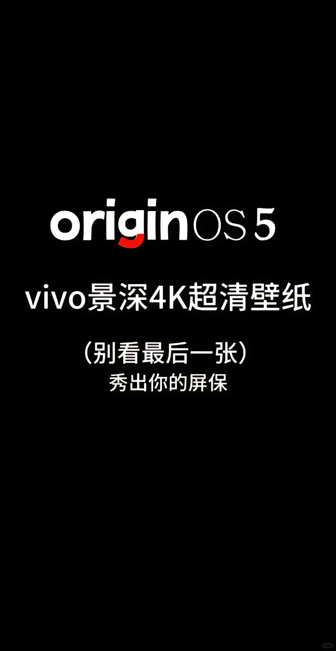 vivo景深4K超清壁纸（别看最后一张）