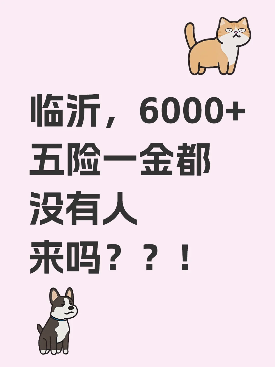 全临沂就我招不到人?，有没有找工作？