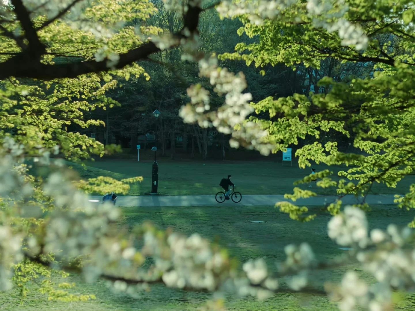 ipad平板/电脑高清壁纸