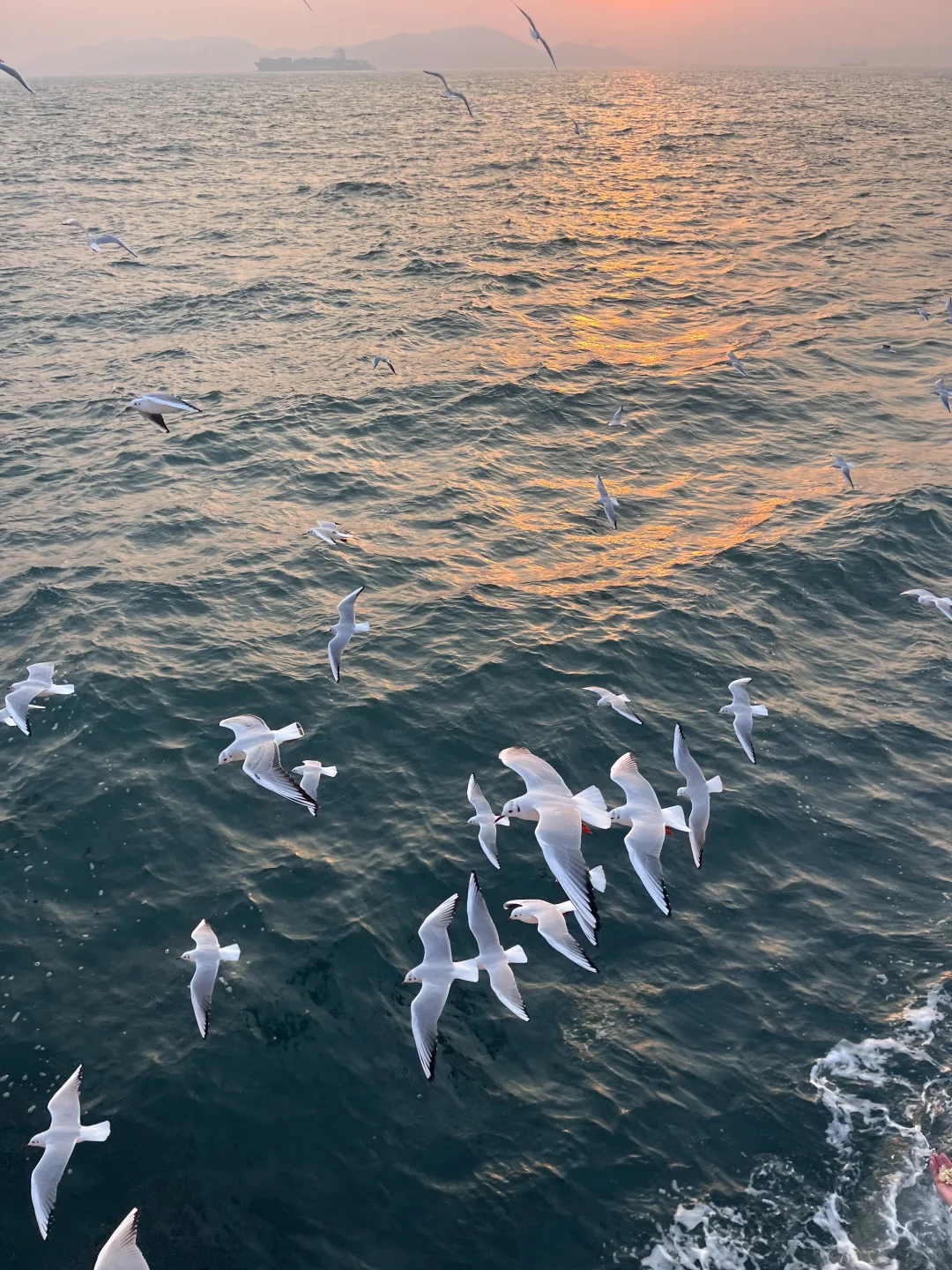 把冬天留给海边