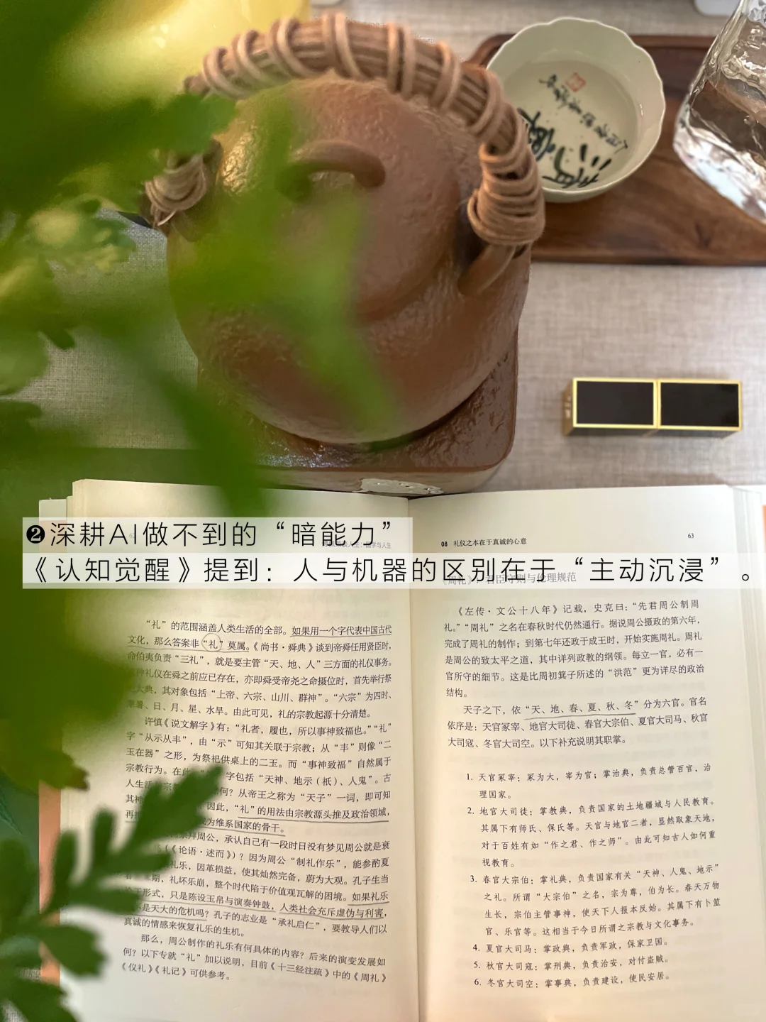 读书让我在AI时代，找到了zui性感的活法