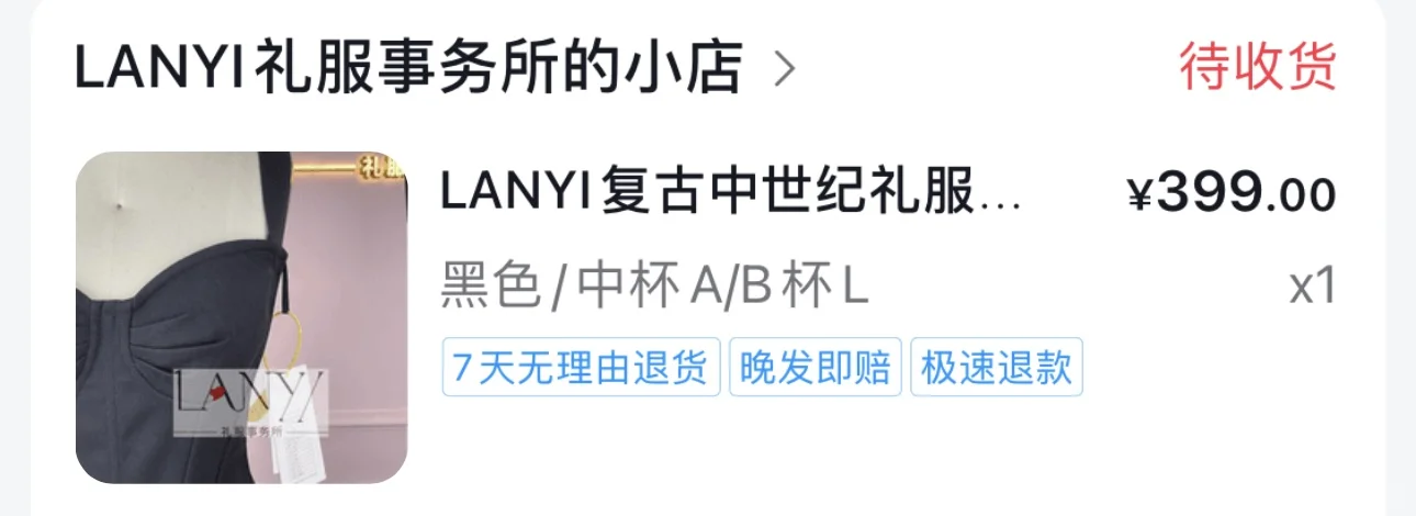 Lanyi 中世纪胸衣