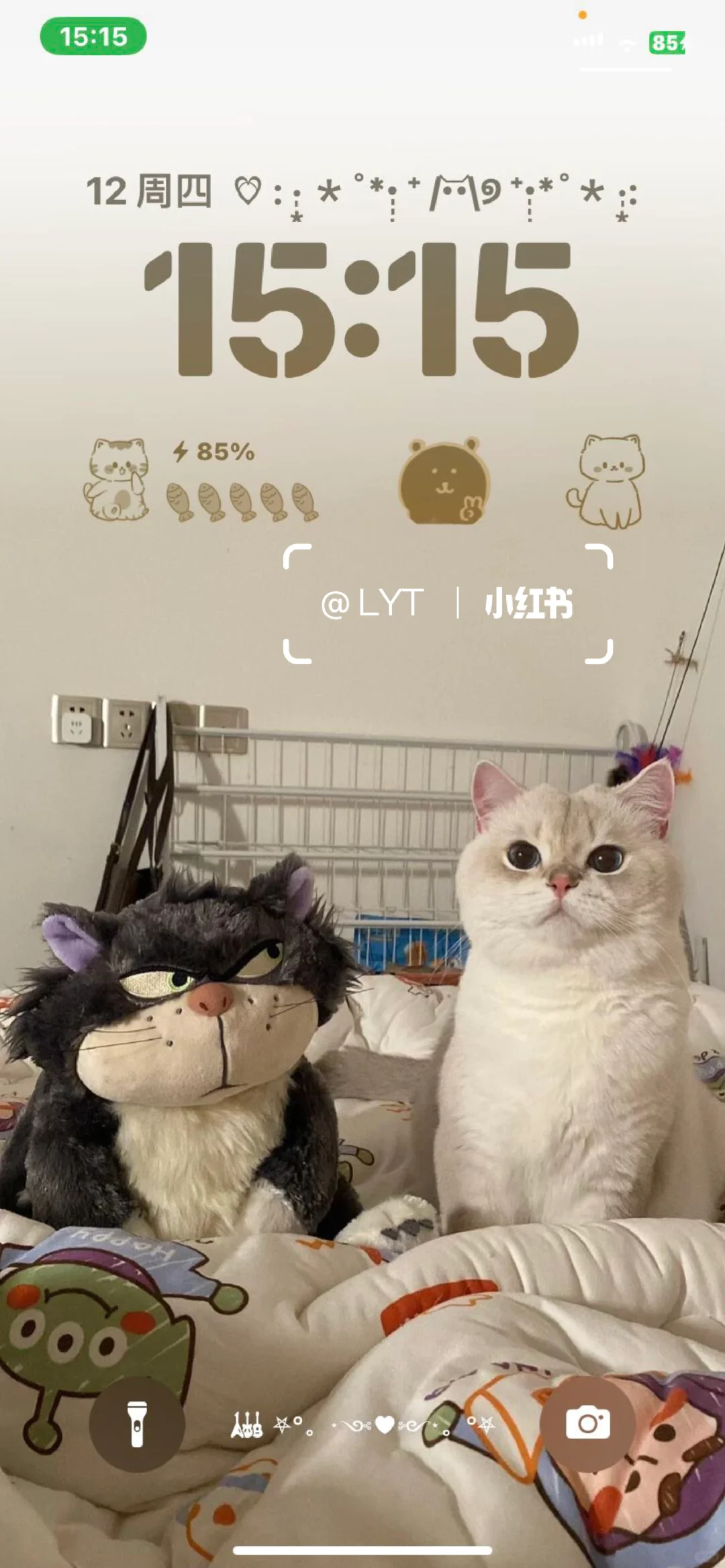 iPad壁纸｜小猫猫 可可爱爱