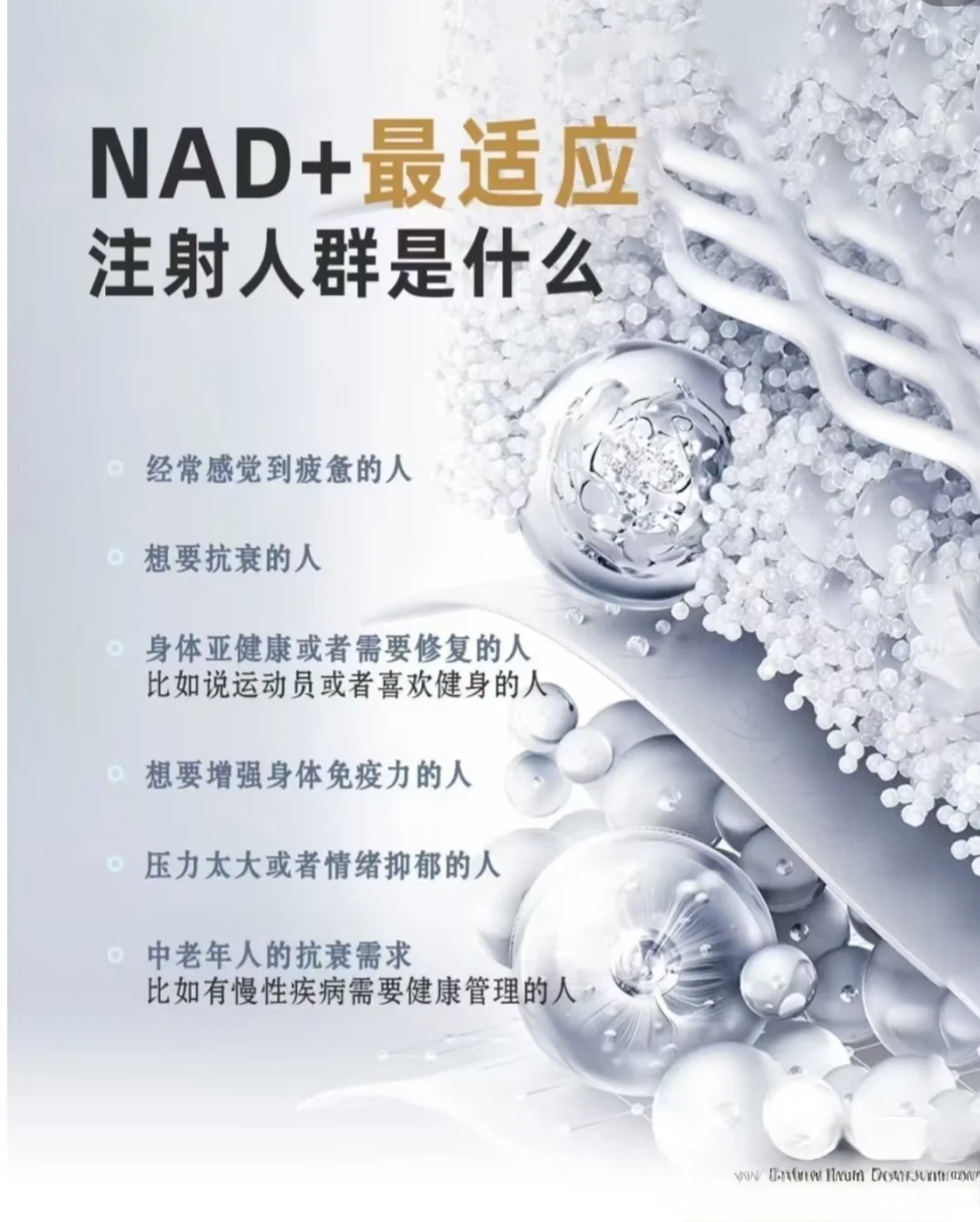 NAD➕营养点滴❗