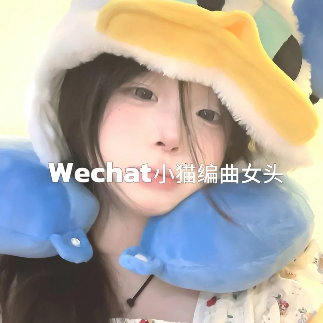 WeChat小猫编曲女头