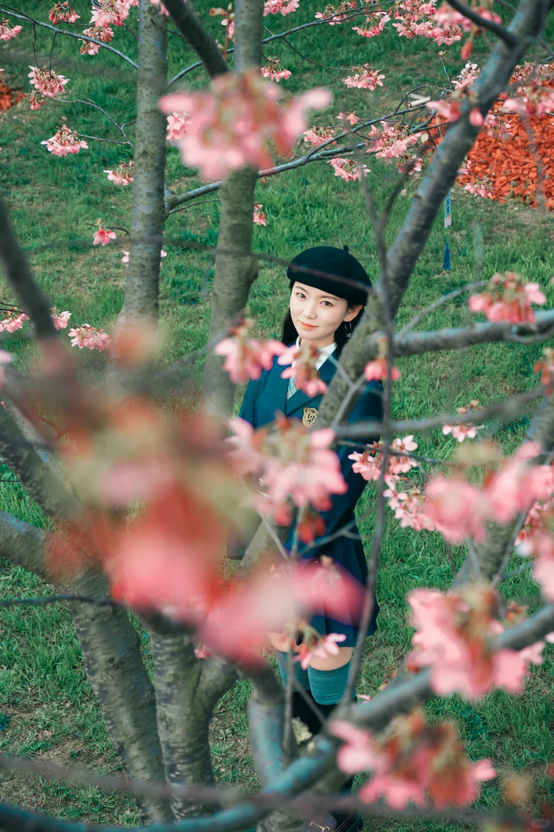 ?【成都漫花庄园JK樱花写真｜春日限定少女感