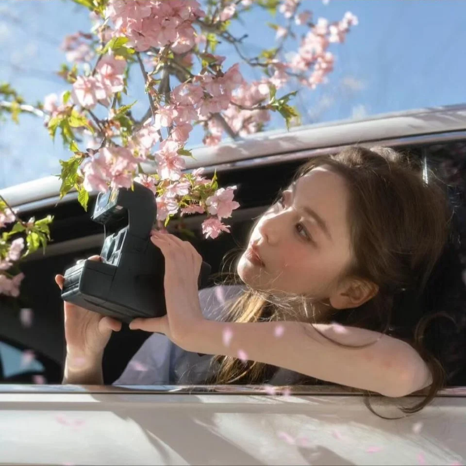 WeChat女头|期许花开绚烂 静赏花落淡然