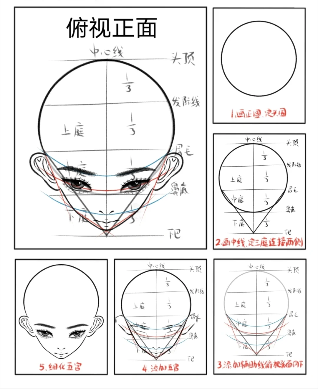 头部透视合集分享||画画打卡