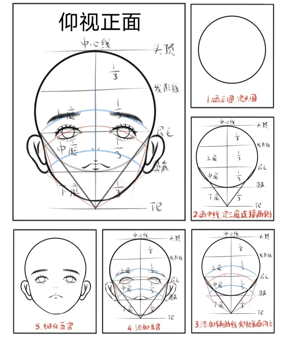 头部透视合集分享||画画打卡