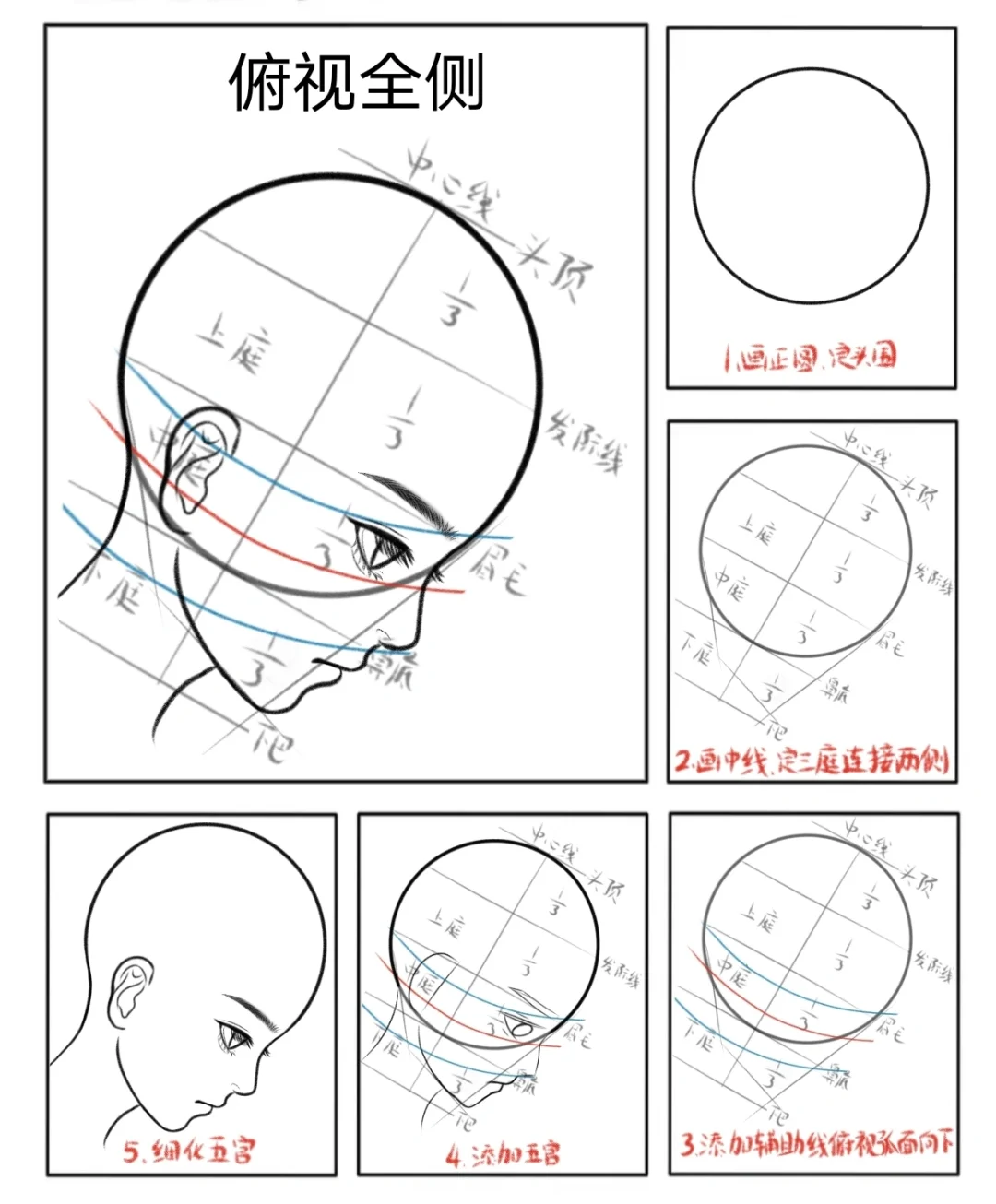 头部透视合集分享||画画打卡