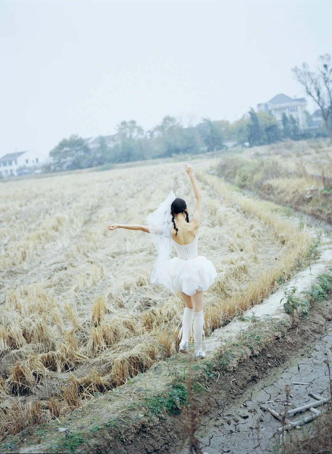 麦田里的ballet doll▫️