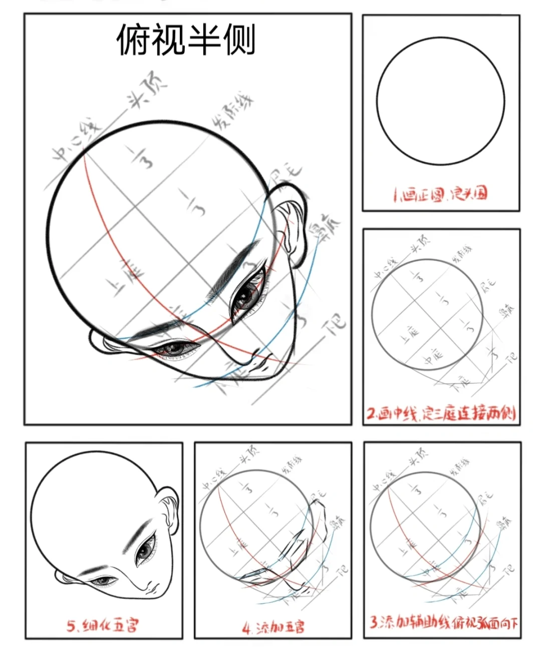 头部透视合集分享||画画打卡