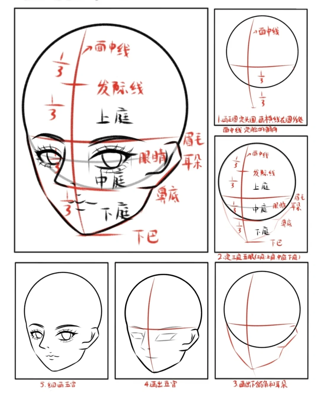 头部透视合集分享||画画打卡