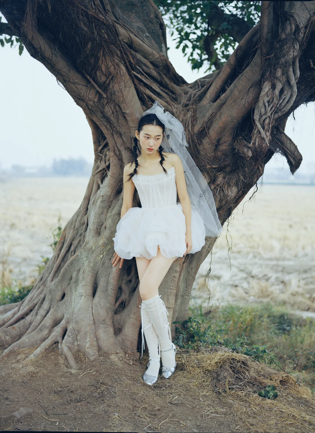 麦田里的ballet doll▫️