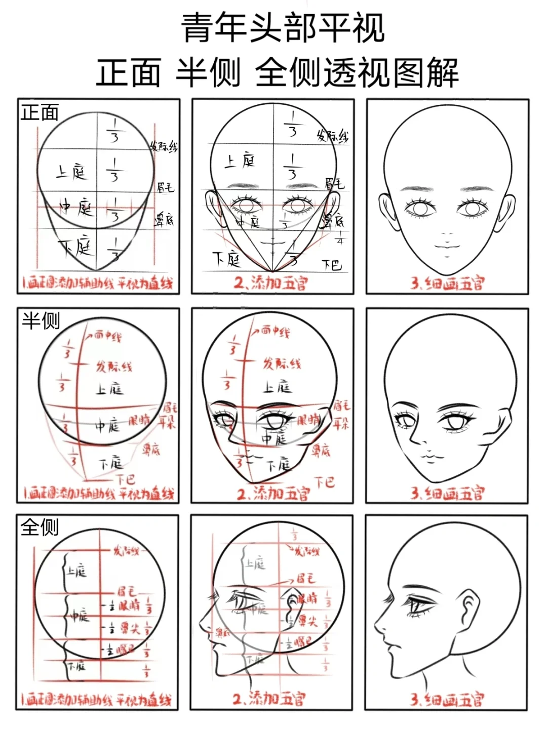 头部透视合集分享||画画打卡