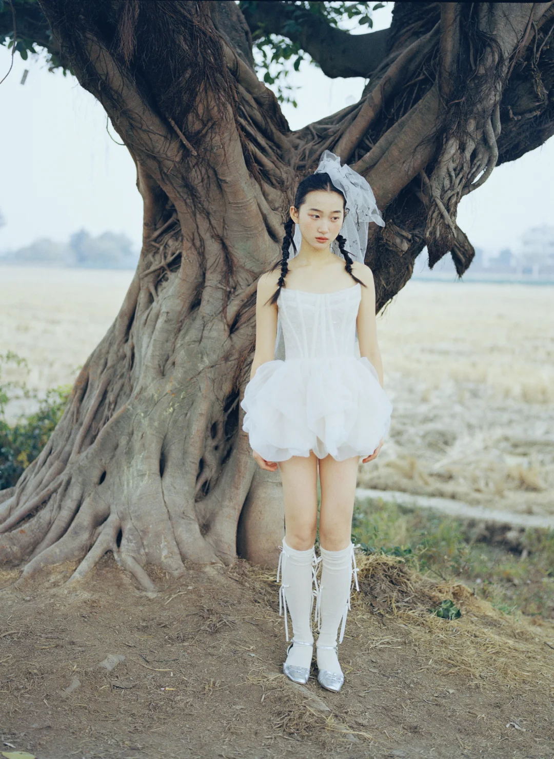 麦田里的ballet doll▫️