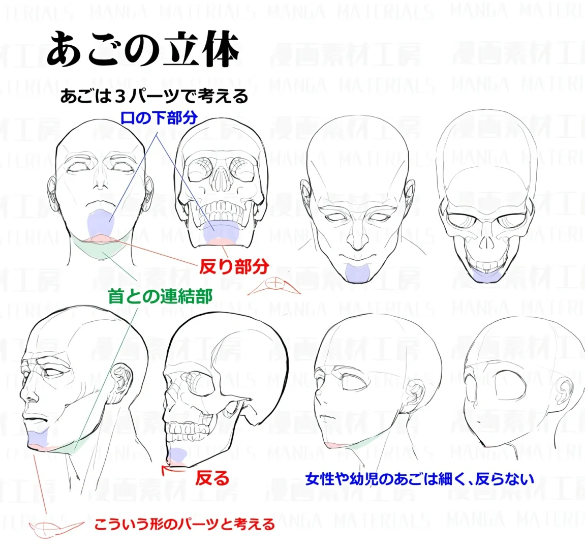 一篇高质量面部立体透视线条手稿｜绘画参考