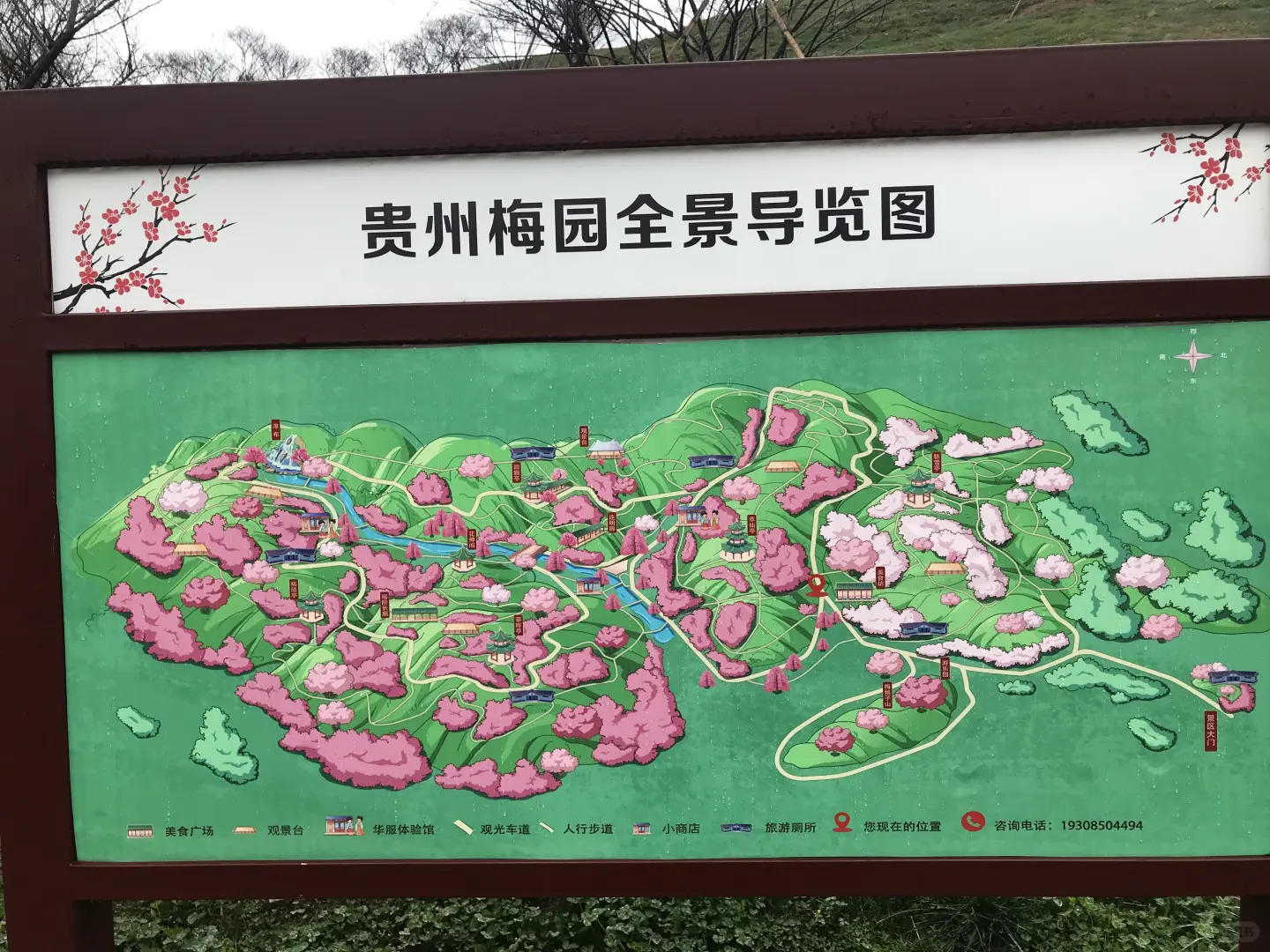 🌺来贵州梅园，去赴春日之约📷