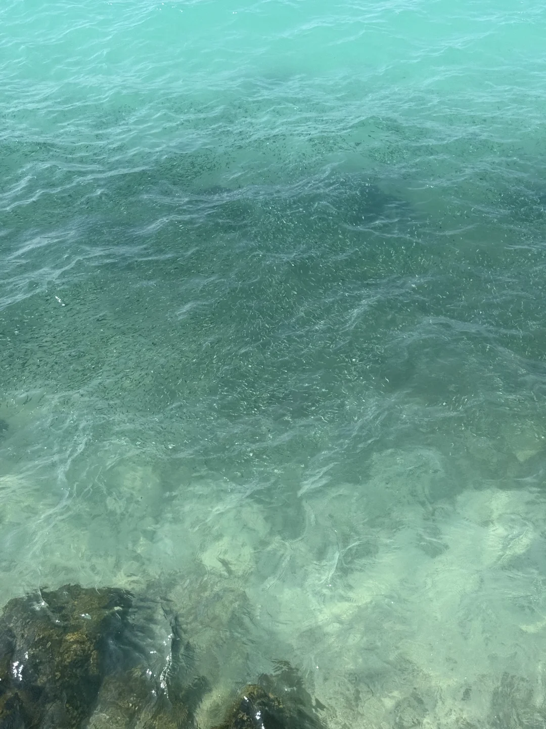 芭提雅格兰岛tien beach 果冻海沙滩