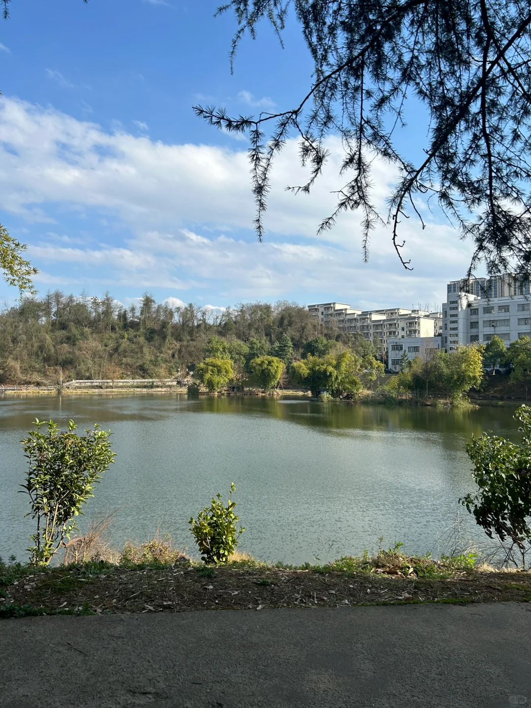 下实验课跟同学坐在学校椅子吹吹风