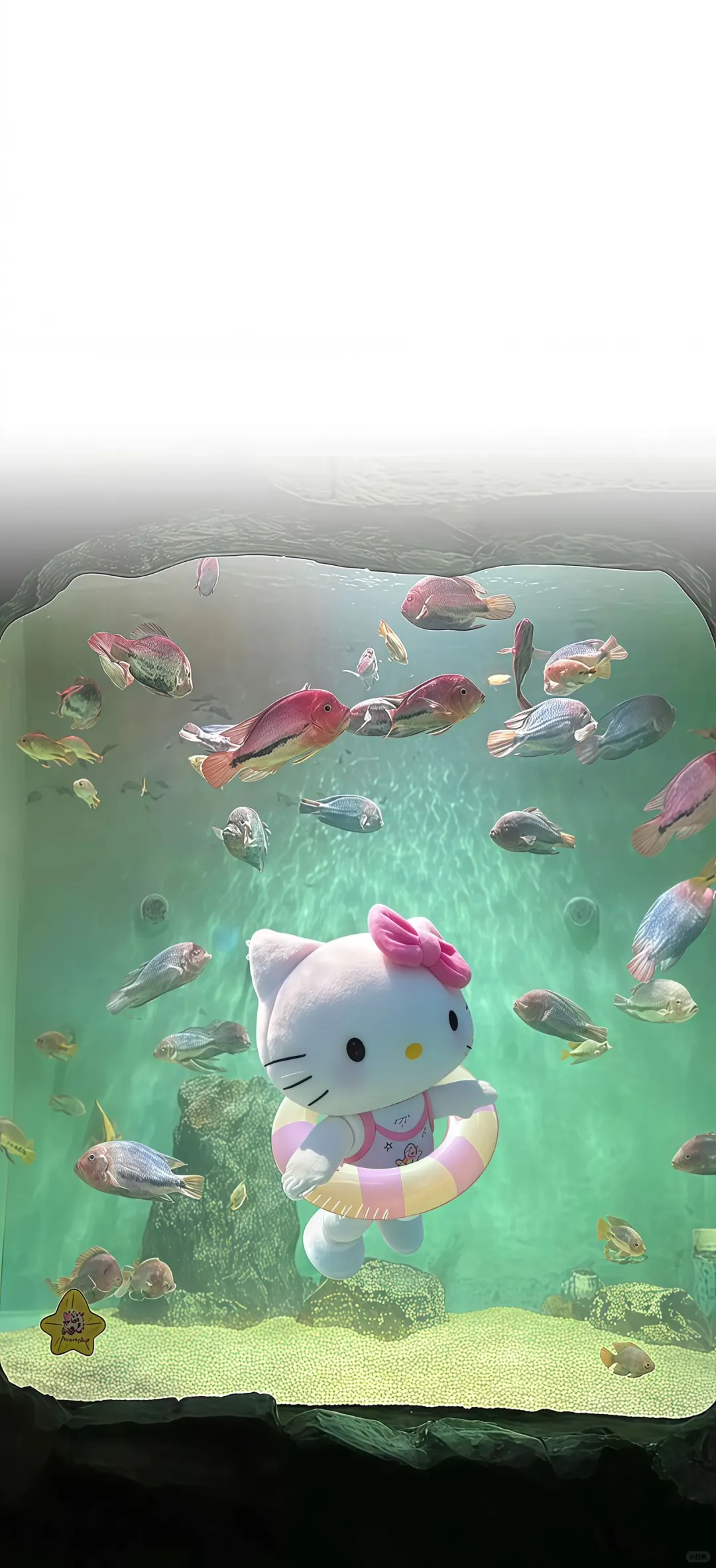 甜甜的hello kitty泡泡 | 苹果手机壁纸