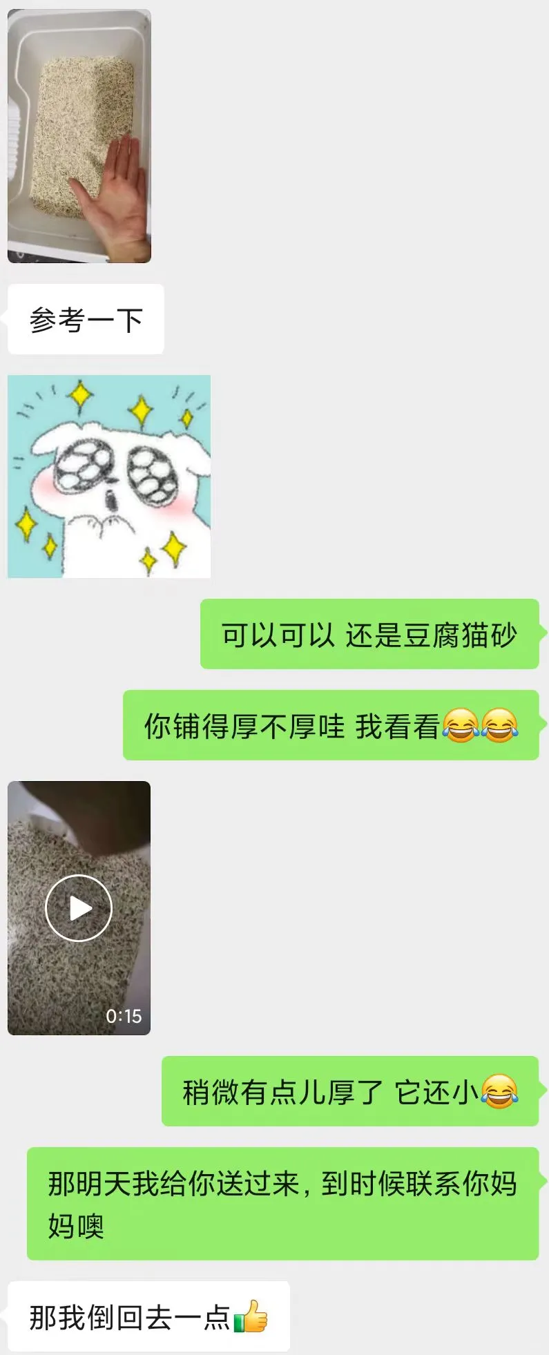 破防了 流浪小猫的领养人是个高中生