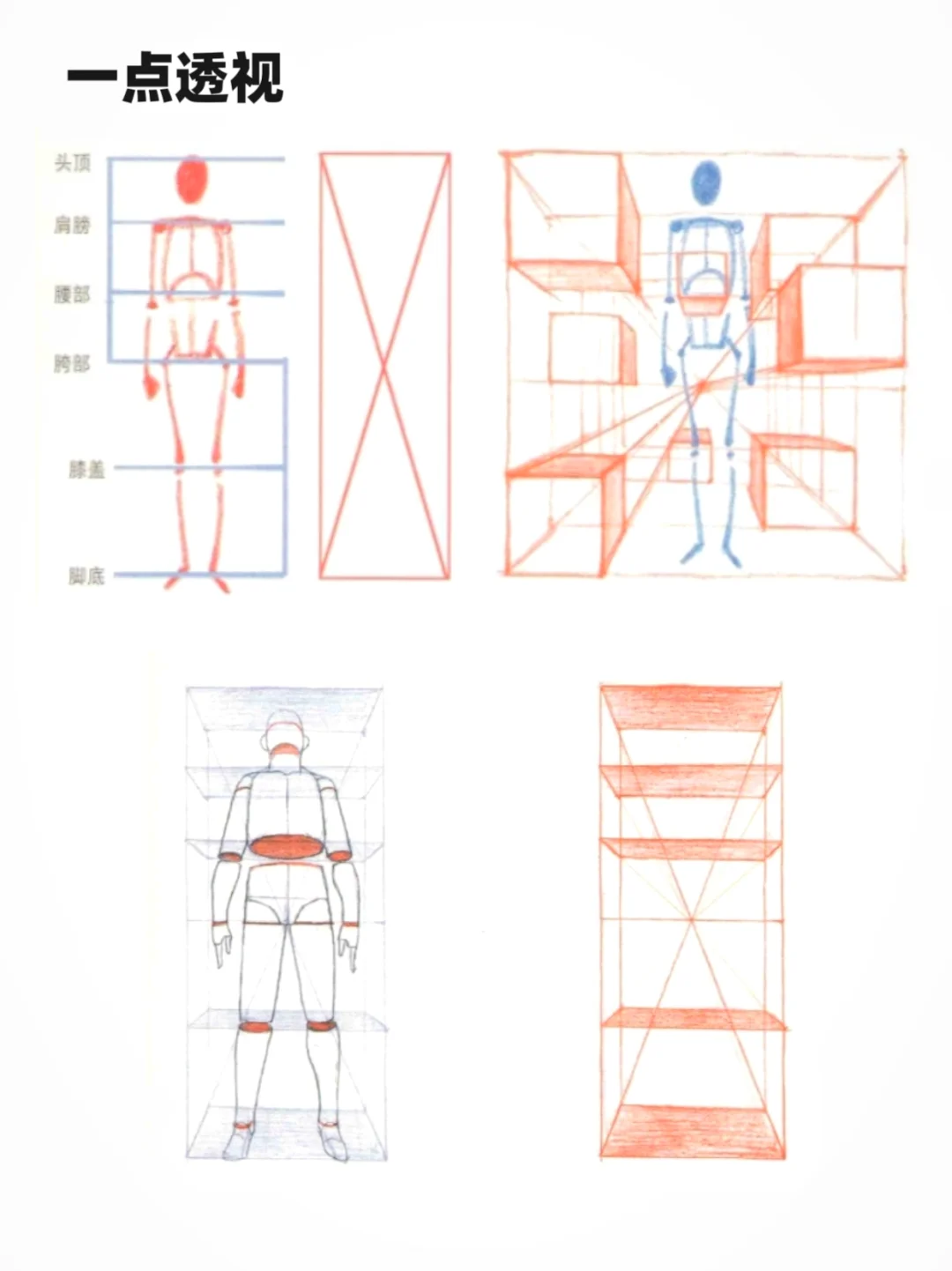 ?绘画干货 | 透视法在人体绘画中的应用