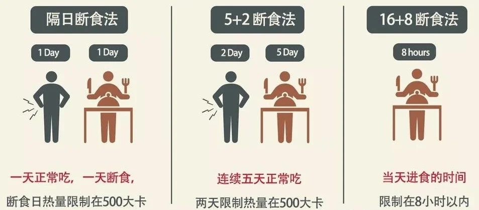 最新医学研究揭示最佳减肥法