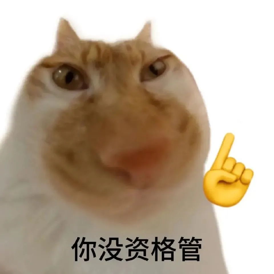 讨坏型人格l猫meme表情包